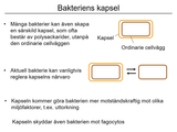 Förhandsvisning (thumbnail) från videon 11 Infektionssjukdomar (3)