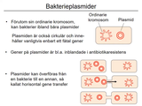 Förhandsvisning (thumbnail) från videon 11 Infektionssjukdomar (4)