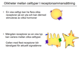 Förhandsvisning (thumbnail) från videon 09 Endokrina sjukdomar (2)