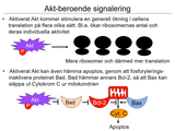 Förhandsvisning (thumbnail) från videon 09 Endokrina sjukdomar (4)