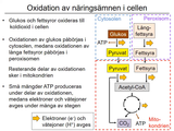 Förhandsvisning (thumbnail) från videon 07 Monogena sjukdomar (8)