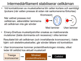 Förhandsvisning (thumbnail) från videon 07 Monogena sjukdomar (4)