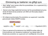 Förhandsvisning (thumbnail) från videon 08 ImmunfÃ¶rsvaret (4)