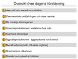 Förhandsvisning (thumbnail) från videon 21 Reproduktion (1)