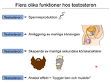Förhandsvisning (thumbnail) från videon 21 Reproduktion (5)