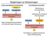 Förhandsvisning (thumbnail) från videon 21 Reproduktion (9)