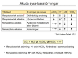 Förhandsvisning (thumbnail) från videon 20 Homeostasreglering (5)