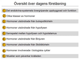 Förhandsvisning (thumbnail) från videon 19 Endokrinologi (1)