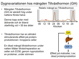 Förhandsvisning (thumbnail) från videon 19 Endokrinologi (9)