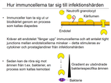 Förhandsvisning (thumbnail) från videon 18 Immunsystemet (3)