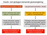Förhandsvisning (thumbnail) från videon 17 Blodet och kroppens energiomsÃ¤ttning (2)