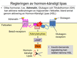 Förhandsvisning (thumbnail) från videon 17 Blodet och kroppens energiomsÃ¤ttning (5)