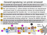 Förhandsvisning (thumbnail) från videon 16 Sinnena (2)