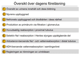 Förhandsvisning (thumbnail) från videon 15 Njurar (1)
