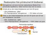 Förhandsvisning (thumbnail) från videon 15 Njurar (3)