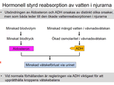 Förhandsvisning (thumbnail) från videon 15 Njurar (7)