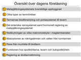 Förhandsvisning (thumbnail) från videon 14 MatspjÃ¤lkningssystemet (1)