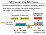 Förhandsvisning (thumbnail) från videon 14 MatspjÃ¤lkningssystemet (5)