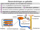 Förhandsvisning (thumbnail) från videon 14 MatspjÃ¤lkningssystemet (8)