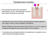 Förhandsvisning (thumbnail) från videon 14 MatspjÃ¤lkningssystemet (9)