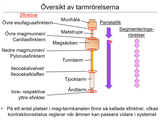 Förhandsvisning (thumbnail) från videon 14 MatspjÃ¤lkningssystemet (2)