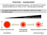 Förhandsvisning (thumbnail) från videon 13 Cirkulationssystemet del 3 (4)