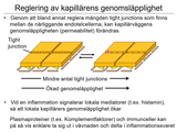 Förhandsvisning (thumbnail) från videon 13 Cirkulationssystemet del 3 (6)