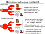 Förhandsvisning (thumbnail) från videon 13 Cirkulationssystemet del 3 (9)