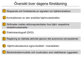 Förhandsvisning (thumbnail) från videon 12 Cirkulationssystemet del 2 (1)