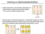 Förhandsvisning (thumbnail) från videon 12 Cirkulationssystemet del 2 (4)