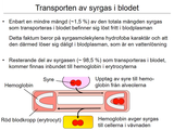 Förhandsvisning (thumbnail) från videon 10 Andningssystemet (6)