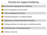 Förhandsvisning (thumbnail) från videon 9 BenvÃ¤vnad och skelettmuskulatur (1)