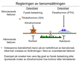 Förhandsvisning (thumbnail) från videon 9 BenvÃ¤vnad och skelettmuskulatur (3)