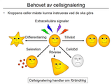 Förhandsvisning (thumbnail) från videon 7 Cellen del 5 (3)