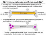 Förhandsvisning (thumbnail) från videon 7 Cellen del 5 (7)