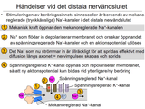 Förhandsvisning (thumbnail) från videon 7 Cellen del 5 (8)