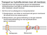 Förhandsvisning (thumbnail) från videon 06 Cellen del 4 (2)