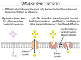 Förhandsvisning (thumbnail) från videon 06 Cellen del 4 (3)