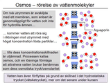 Förhandsvisning (thumbnail) från videon 06 Cellen del 4 (5)