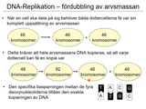 Förhandsvisning (thumbnail) från videon 06 Cellen del 4 (6)
