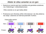 Förhandsvisning (thumbnail) från videon 06 Cellen del 4 (7)