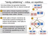 Förhandsvisning (thumbnail) från videon 06 Cellen del 4 (9)