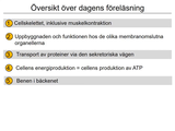 Förhandsvisning (thumbnail) från videon 05 Cellen del 3 (1)