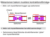 Förhandsvisning (thumbnail) från videon 05 Cellen del 3 (2)