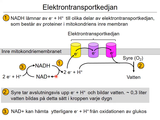 Förhandsvisning (thumbnail) från videon 05 Cellen del 3 (8)