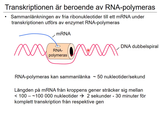 Förhandsvisning (thumbnail) från videon 4 Cellen del 2 (2)