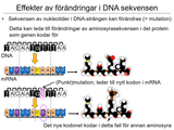 Förhandsvisning (thumbnail) från videon 4 Cellen del 2 (4)