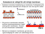 Förhandsvisning (thumbnail) från videon 4 Cellen del 2 (9)