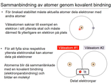 Förhandsvisning (thumbnail) från videon 3 Cellen del 1 (2)