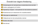 Förhandsvisning (thumbnail) från videon 2 MÃ¤nniskokroppen en Ã¶versikt del 2 (1)